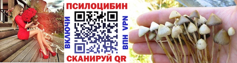 Псилоцибиновые грибы ЛСД Сураж